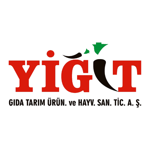 logo yİĞİt gida arkaplansız